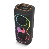 Maxron Mxtube 4x2 Kablosuz Mikrofonlu Speaker 